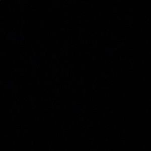 Meet your Posher, Jacqueline